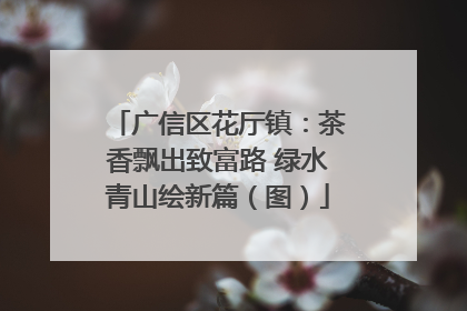 广信区花厅镇：茶香飘出致富路 绿水青山绘新篇（图）