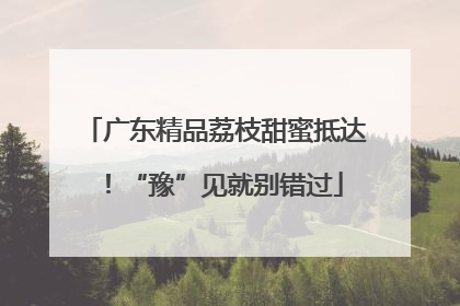 广东精品荔枝甜蜜抵达！“豫”见就别错过
