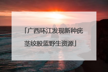 广西环江发现新种疣茎绞股蓝野生资源