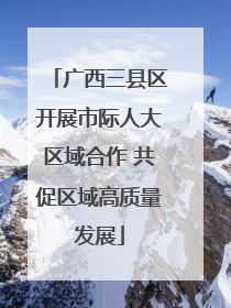 广西三县区开展市际人大区域合作 共促区域高质量发展