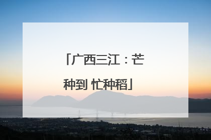 广西三江：芒种到 忙种稻