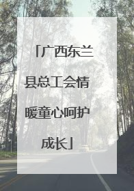 广西东兰县总工会情暖童心呵护成长