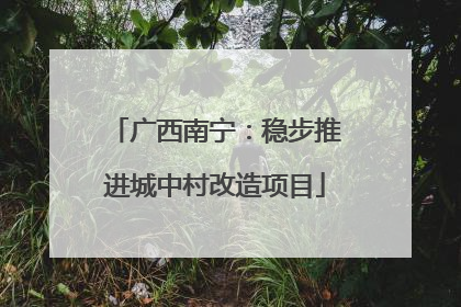 广西南宁：稳步推进城中村改造项目