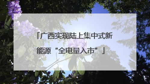 广西实现陆上集中式新能源“全电量入市”