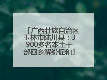 广西壮族自治区玉林市陆川县：3900多名本土干部回乡解纷促和