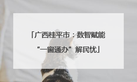 广西桂平市：数智赋能“一窗通办”解民忧