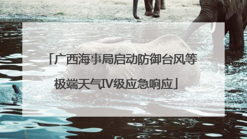 广西海事局启动防御台风等极端天气IV级应急响应