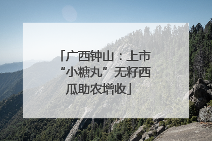 广西钟山：上市“小糖丸”无籽西瓜助农增收
