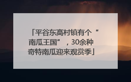 平谷东高村镇有个“南瓜王国”，30余种奇特南瓜迎来观赏季