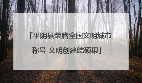 平阴县荣膺全国文明城市称号 文明创建结硕果
