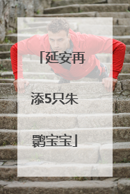 延安再添5只朱鹮宝宝