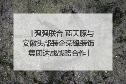 强强联合 蓝天豚与安徽头部装企荣锋装饰集团达成战略合作