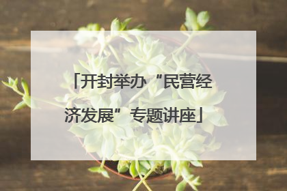 开封举办“民营经济发展”专题讲座