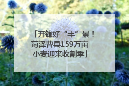 开镰好“丰”景！菏泽曹县159万亩小麦迎来收割季