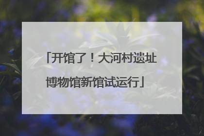 开馆了！大河村遗址博物馆新馆试运行