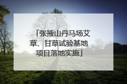 张掖山丹马场艾草、甘草试验基地项目落地实施