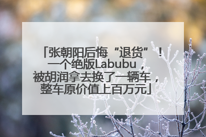 张朝阳后悔“退货”！一个绝版Labubu，被胡润拿去换了一辆车，整车原价值上百万元