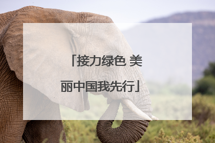 接力绿色 美丽中国我先行