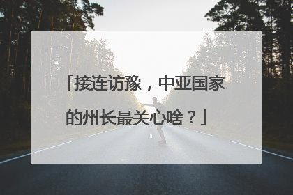 接连访豫，中亚国家的州长最关心啥？