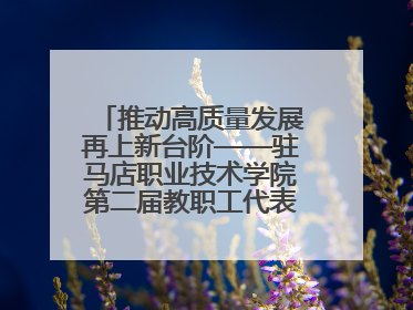 推动高质量发展再上新台阶——驻马店职业技术学院第二届教职工代表大会暨工会会员代表大会第四次会议成功召开