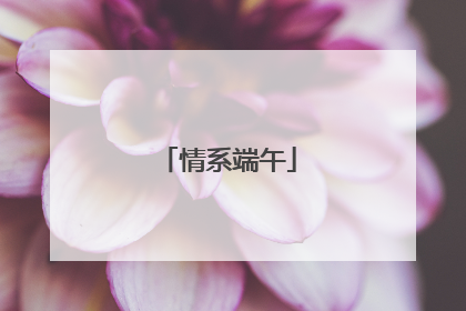 情系端午