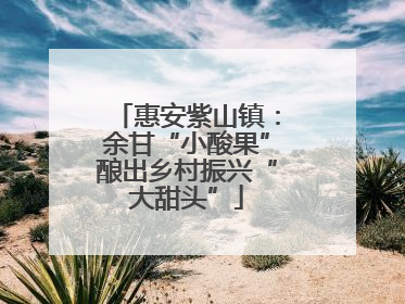 惠安紫山镇：余甘“小酸果”酿出乡村振兴“大甜头”