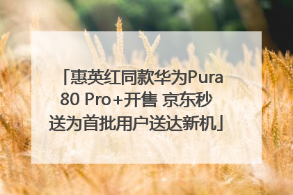 惠英红同款华为Pura 80 Pro+开售 京东秒送为首批用户送达新机