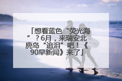想看蓝色“荧光海”？6月，来瑞安北麂岛“追泪”吧！《90早新闻》来了