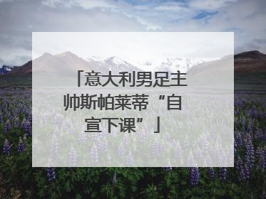 意大利男足主帅斯帕莱蒂“自宣下课”