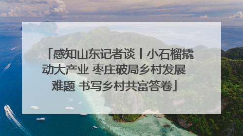 感知山东记者谈丨小石榴撬动大产业 枣庄破局乡村发展难题 书写乡村共富答卷