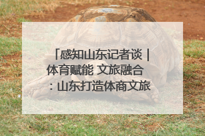 感知山东记者谈｜体育赋能 文旅融合：山东打造体商文旅融合发展新格局
