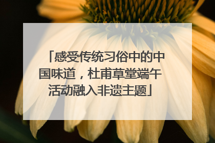 感受传统习俗中的中国味道，杜甫草堂端午活动融入非遗主题