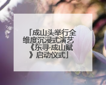成山头举行全维度沉浸式演艺《东寻·成山赋》启动仪式