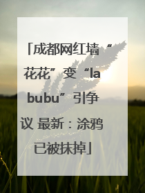 成都网红墙“花花”变“labubu”引争议 最新：涂鸦已被抹掉