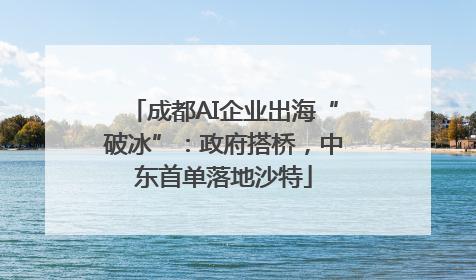 成都AI企业出海“破冰”：政府搭桥，中东首单落地沙特