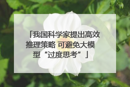 我国科学家提出高效推理策略 可避免大模型“过度思考”