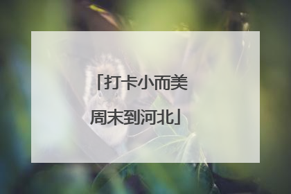 打卡小而美 周末到河北