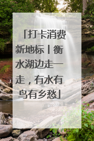 打卡消费新地标丨衡水湖边走一走，有水有鸟有乡愁