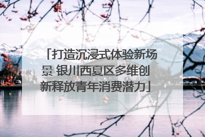 打造沉浸式体验新场景 银川西夏区多维创新释放青年消费潜力