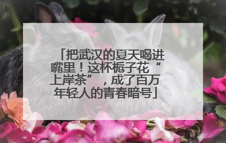 把武汉的夏天喝进嘴里！这杯栀子花“上岸茶”，成了百万年轻人的青春暗号