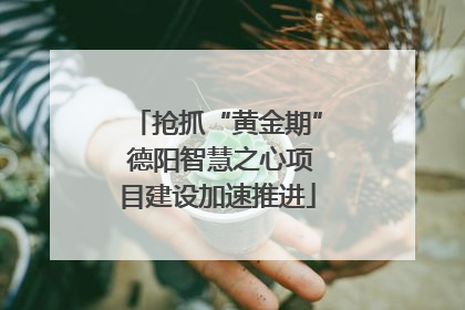 抢抓“黄金期” 德阳智慧之心项目建设加速推进