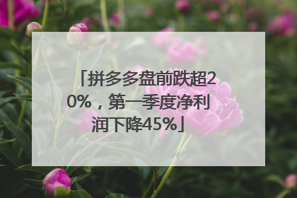 拼多多盘前跌超20%，第一季度净利润下降45%