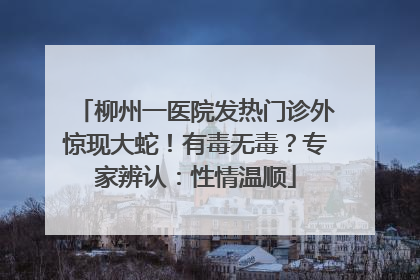 柳州一医院发热门诊外惊现大蛇！有毒无毒？专家辨认：性情温顺