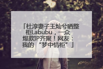 杜淳妻子王灿兮晒整柜Labubu，一众爆款IP齐聚！网友：我的 “梦中情柜”