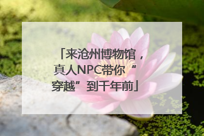 来沧州博物馆，真人NPC带你“穿越”到千年前
