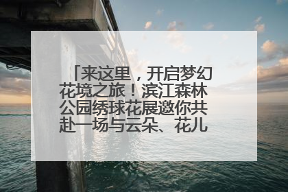 来这里，开启梦幻花境之旅！滨江森林公园绣球花展邀你共赴一场与云朵、花儿的浪漫之约