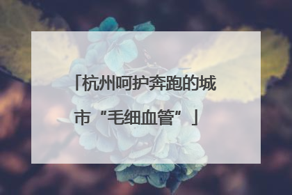 杭州呵护奔跑的城市“毛细血管”