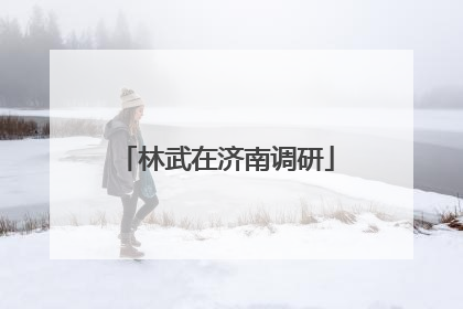 林武在济南调研