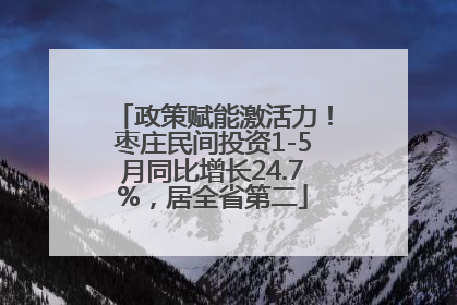 政策赋能激活力！枣庄民间投资1-5月同比增长24.7%，居全省第二