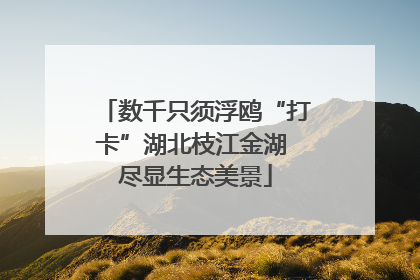 数千只须浮鸥“打卡”湖北枝江金湖 尽显生态美景